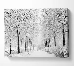 Winter In The Park Black And White Canvas Print Wall Art - Medium 20 x 32 Inches