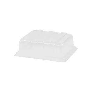 Verve Transparent Rectangular Plastic Gardening tray lid, (H)7cm (W)19cm