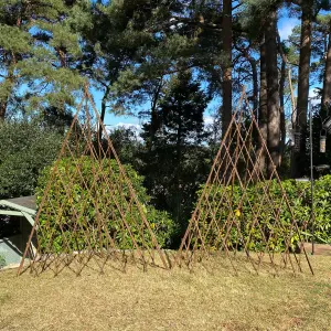 Pair of Expanding Willow Garden Obelisks (1.5m)