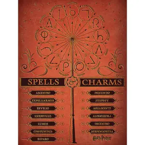 Harry Potter Spell & Charms Canvas Print Orange/Black (60cm x 80cm)