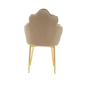 Interiors by Premier Tian Mink Velvet Chair