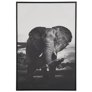 Canvas NIBBIA Rectangular 63 x 99 cm Animal Grey