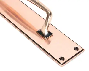 From The Anvil Polished Bronze 425mm Art Deco Pull Handle on Backplate