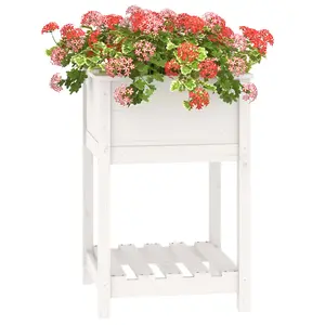 Berkfield Planter with Shelf White 54x54x81 cm Solid Wood Pine