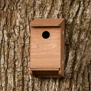 House Sparrow Nest Box - Plywood - L17 x W13 x H24 cm