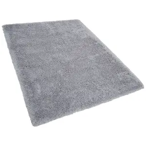 Shaggy Area Rug 200 x 300 cm Grey CIDE