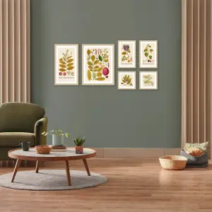 Arthouse Botanical Neutral Tones Mixed size Canvas art, Set of 6