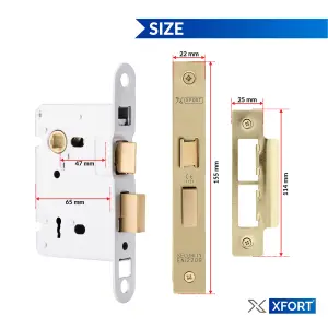 XFORT 3 Lever Polished Brass Mortice Sashlock 65mm