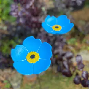 Cast Iron Wild Bird Forget Me Not Flower Dish Bird Feeders (Set of 2)