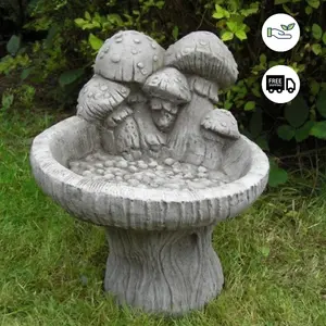 Birdbath with Mushrooms on Top