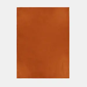 Dreamscene Warm Polar Fleece Throw Soft Bed Blanket, Rust - 120 x 150cm