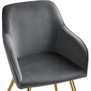 Chair Marilyn - with armrests, padded, velvet look, golden steel legs - dark gray/gold