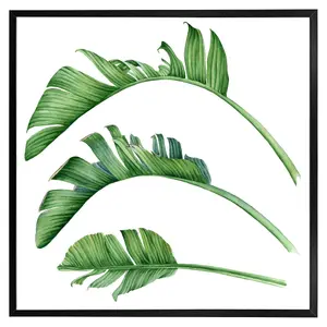 Triple botanical (Picutre Frame) / 12x12" / White