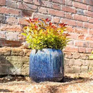 Primrose Stoneware Round High Gloss Garden Planter In Blue Mix 27cm