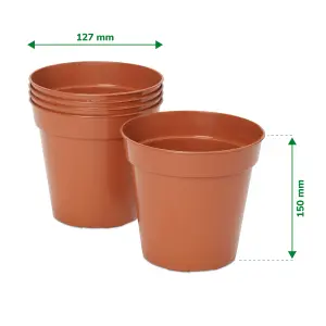 Verve Lei Terracotta Plastic Grow pot (Dia) 12.7cm, (H)15cm, 1.2L