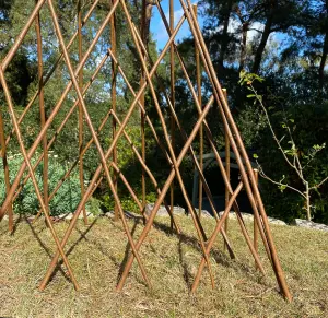 Set of Three Expanding Willow Garden Obelisks (1.5m)