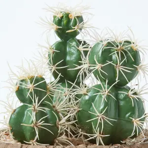 Homescapes Echinocactus Artificial Cactus in Round Wooden Planter, 15 cm Tall