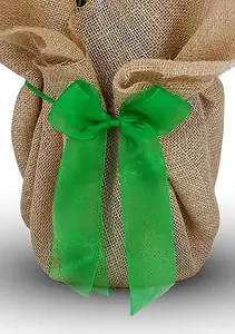 Pottery Wedding Rose - 9th Anniversary Rose Bush - Gift Wrapped Pottery Anniversary Rose