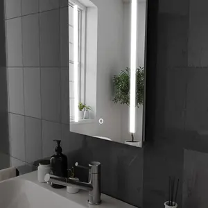 Harper & Harlow 400x600 Lynx LED Illuminated Bathroom Mirror