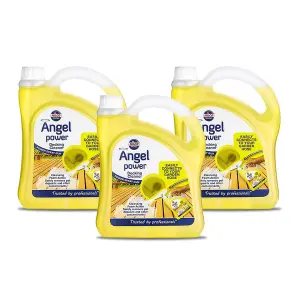 Nilco Angel Power 6L Garden Decking Cleaner Cleansing & Foam Gun Sprayer 3x 2L