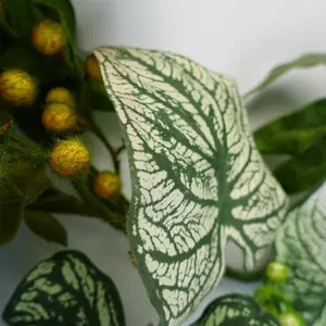 Artificial Hanging Trailing Plant Plant Alocasia Sinuata Botanik