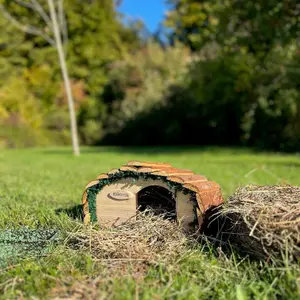 Wooden Hedgehog House With Ceramic Food & Water Dish Set & Nesting Straw