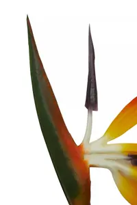 Fiori 92cm Bird Of Paradise Artificial Plant Foliage