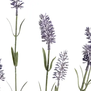 UK Homeliving Large Lavender Spray