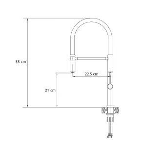 Quadron Margot Black/Gold kitchen tap with flexible spout