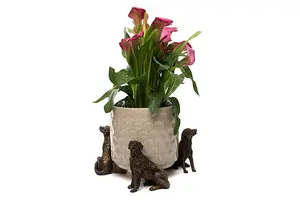 Retriever Plant Pot Feet - Set of 3 - L7.5 x W8 x H8 cm