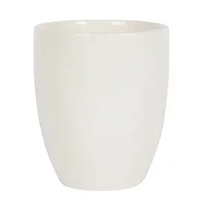 White Ceramic Indoor Plant Pot "You Are the Bees-Knees" text. Gift Idea. (Dia) 11.5 cm