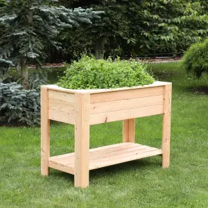 Dan Larch timber Shallow planter with self 800x400mm