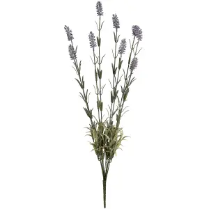 UK Homeliving Large Lavender Spray