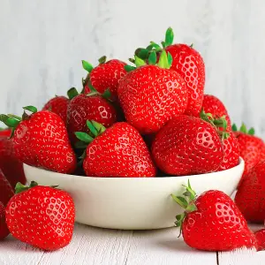 Strawberry Cambridge Favourite - Outdoor Fruit Plants for Gardens, Pots, Containers (9cm Pots, 10 Pack)