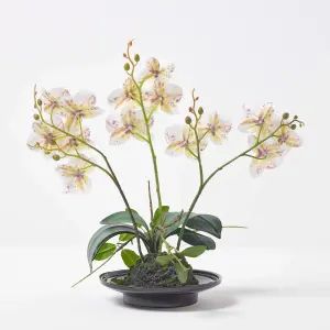 Homescapes White Orchid 38 cm Phalaenopsis in Ceramic Pot