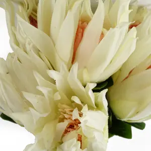 Pack of 6 x 65cm Protea Sugarbush Flower Stem - White