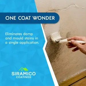 The DampSeal One Coat - 5 Litres - Matt White - Seals Damp And Mould Stains In One Coat By Brush Or Roller