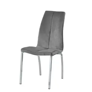 Knudsen Velvet Upholstered Side Chair (Set of 2) Grey