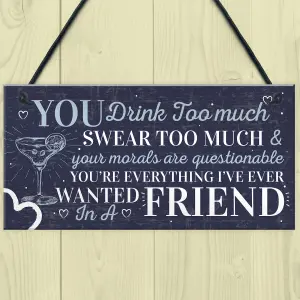 Red Ocean Funny Best Friend Friendship Sign Drink Too Much Gin Vodka Birthday Gift Plaque