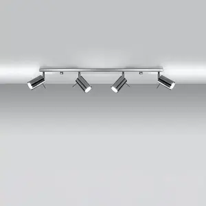 Ring Steel Chrome 4L Light Classic Ceiling Light