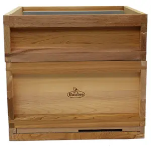 National Bee Hive In Top Quality Cedar