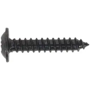 100 Pack of 3.5 x 19mm Self Tapping Black Screws with Flanged Pozi Head