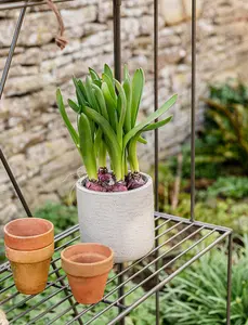 Garden Trading Outdoor Indoor Ashbury Plant Flower Pot Ladder Stand Steel Metal