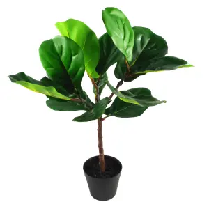 60cm Artificial Fiddle Fig Plant