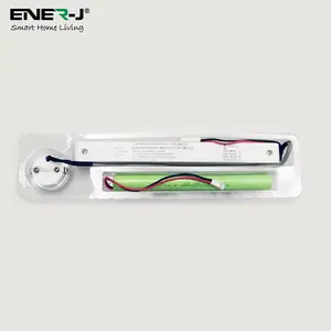 3W LED Emergency Downlight with Battery Kit