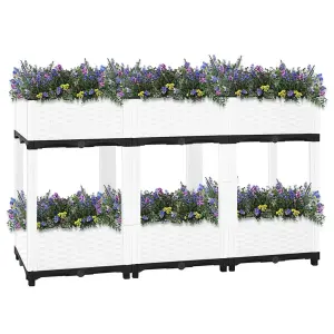 Berkfield Raised Bed 120x40x71 cm Polypropylene