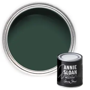 Annie Sloan Wall Paint 120ml Knightsbridge Green