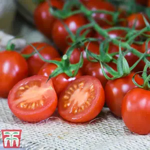 Tomato Rubylicious 1 Seed Packet  (20 Seeds)