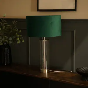 Simonetta Matt Gold and Clear Tube Table Lamp with Blush Velvet Reni Shade and 6W GLS Warm White Bulb Silver / Forest Green / No