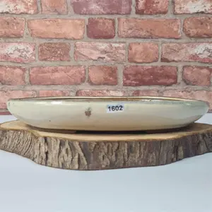 31cm Glazed Bonsai Pot - Oval - 31cm x 22cm x 4.5cm - White